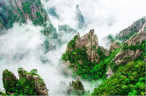 仲夏夜的梦，带你来黄山感受~