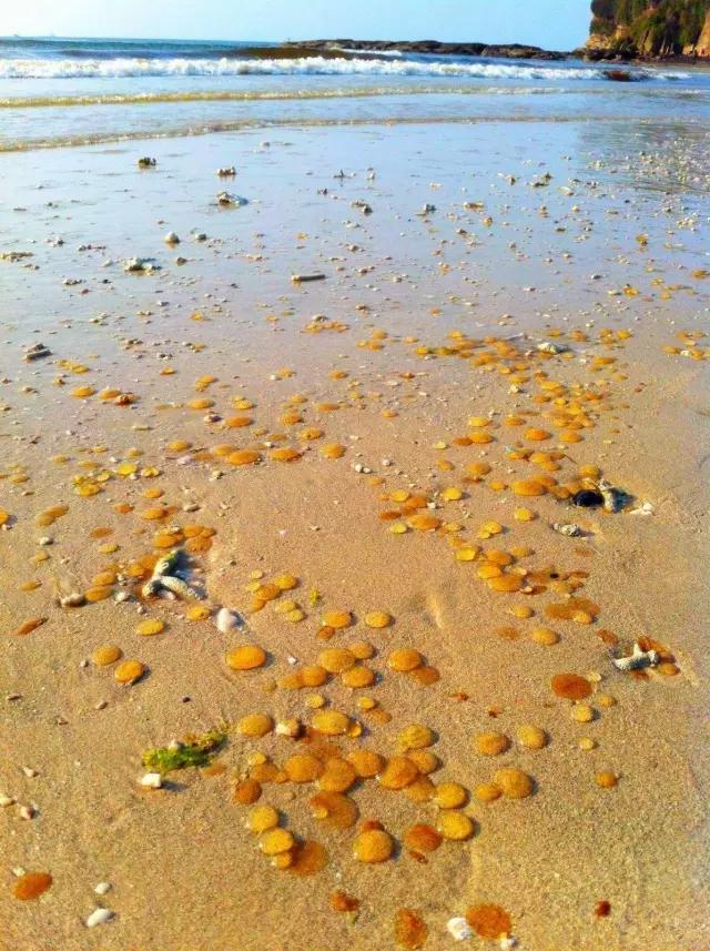 哪里的海岛比鼓浪屿好玩,跟鼓浪屿一样的小岛