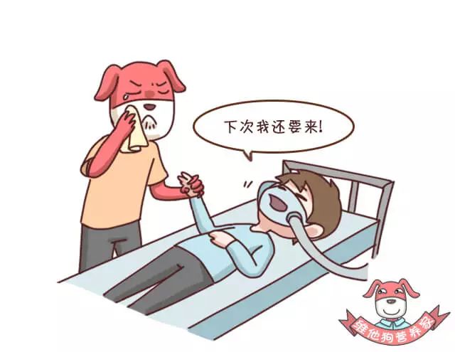 出远门失眠,出门出差便秘吃什么药才有效