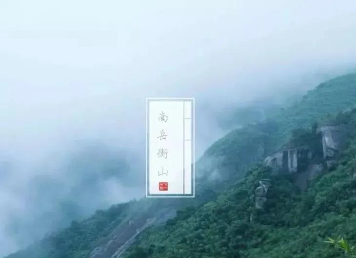 冷美人保湿精华,国货好物润肤保湿