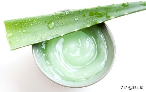 傻傻的用了那么久的胶水，你还以为芦荟胶的成分是芦荟？