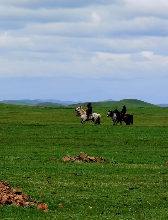 一条绝美草原之路,一条绝美的自驾公路
