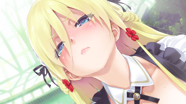 Boin之极意——八宝备仁