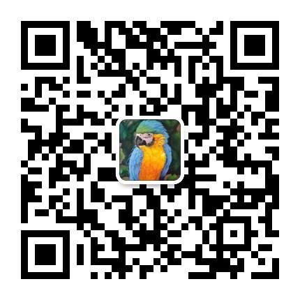 意大利艺术留学视频,意大利艺术留学作品集培训