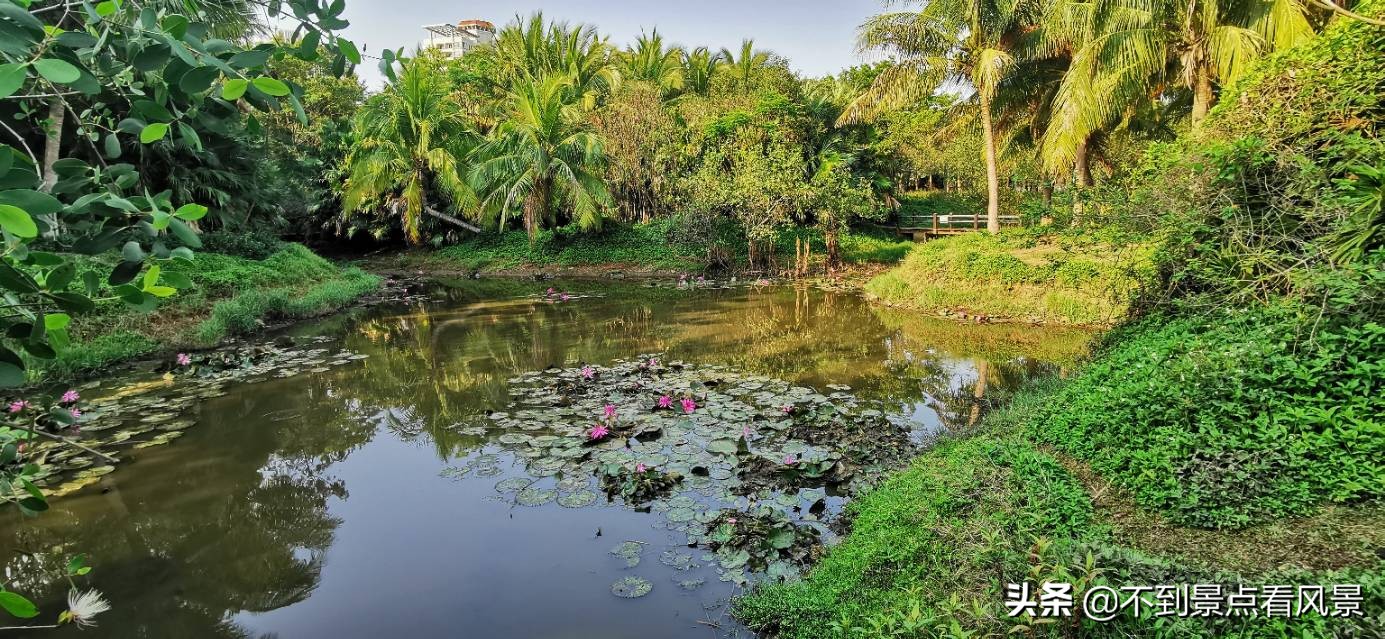 海口海甸岛白沙门公园夜景,海口旅游景点白沙门