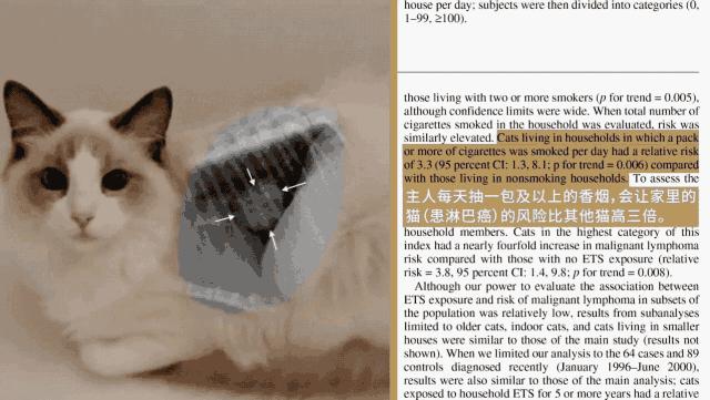 二手烟对猫有影响吗,二手烟对猫的危害