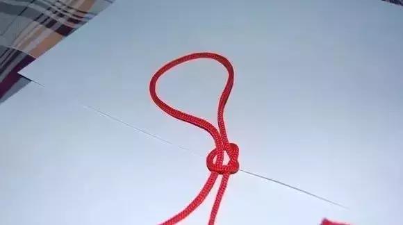 伯劳鸟饲养,没睁眼的伯劳怎样饲养