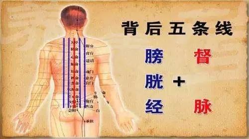 中医夹脊法,督脉夹脊法教学视频