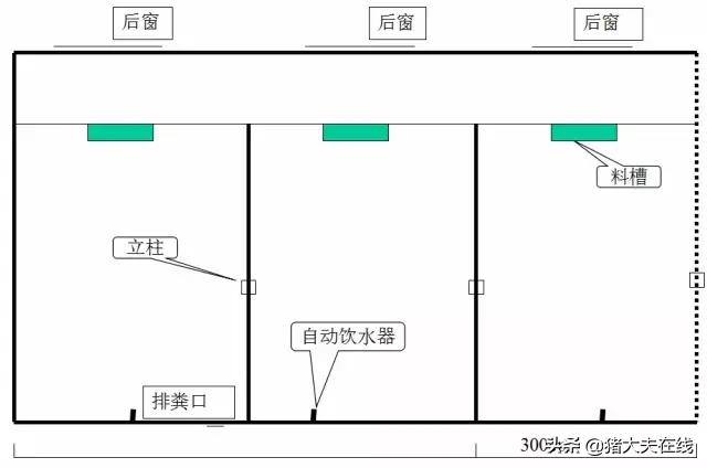 猪舍的平面设计图,现代规模化猪舍平面布局图