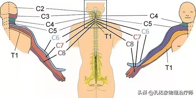 肩周炎肩膀疼痛用什么药,肩膀疼是肩周炎吗还是其他原因