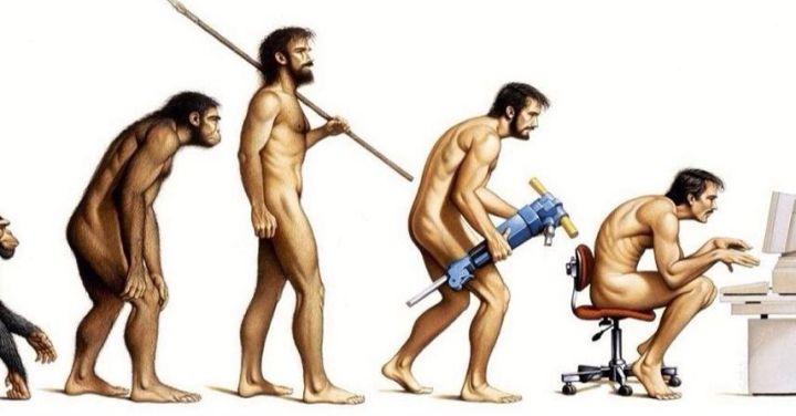 冈村的椅子,冈村买哪一款椅子