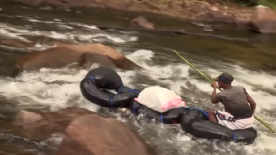 实拍非洲紫檀木*私走**全过程：护林员做*私走**，一根紫檀木赚三万