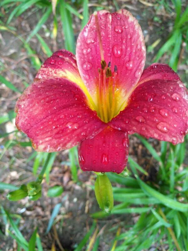 手拍世界,手拍世界作品专集