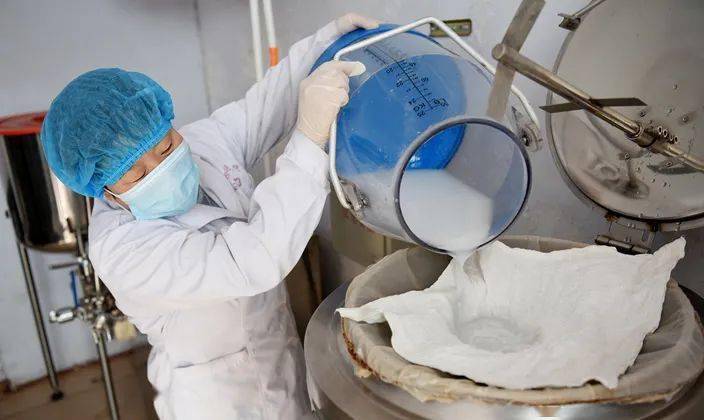 养驴发家致富能人,矿山老板致富项目