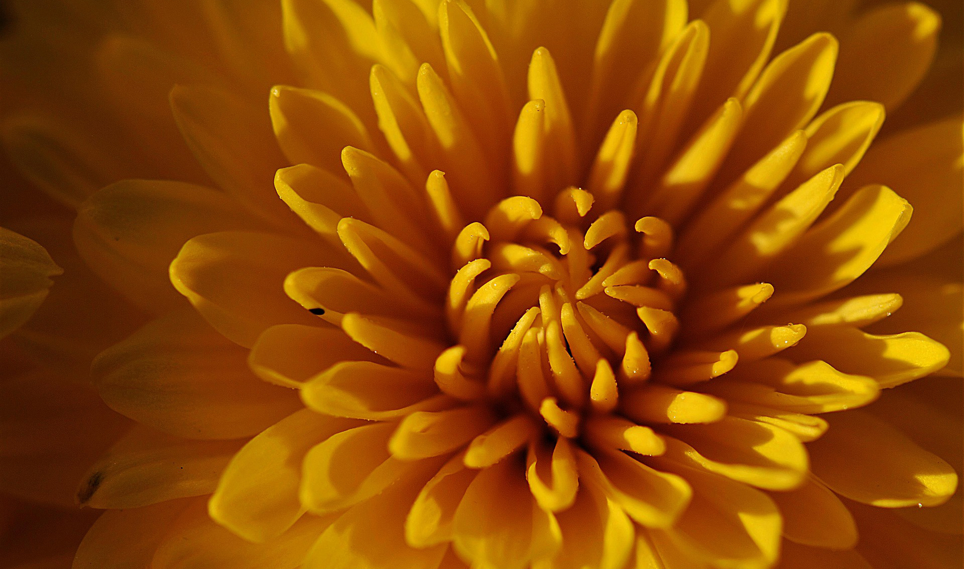 直肠改道后肚子疼是怎么回事,直肠下坠总有大便感觉一个月了