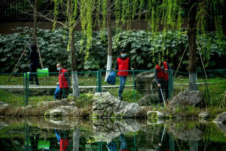 文明郫都丨守护生态颜值，郫都志愿者在行动！