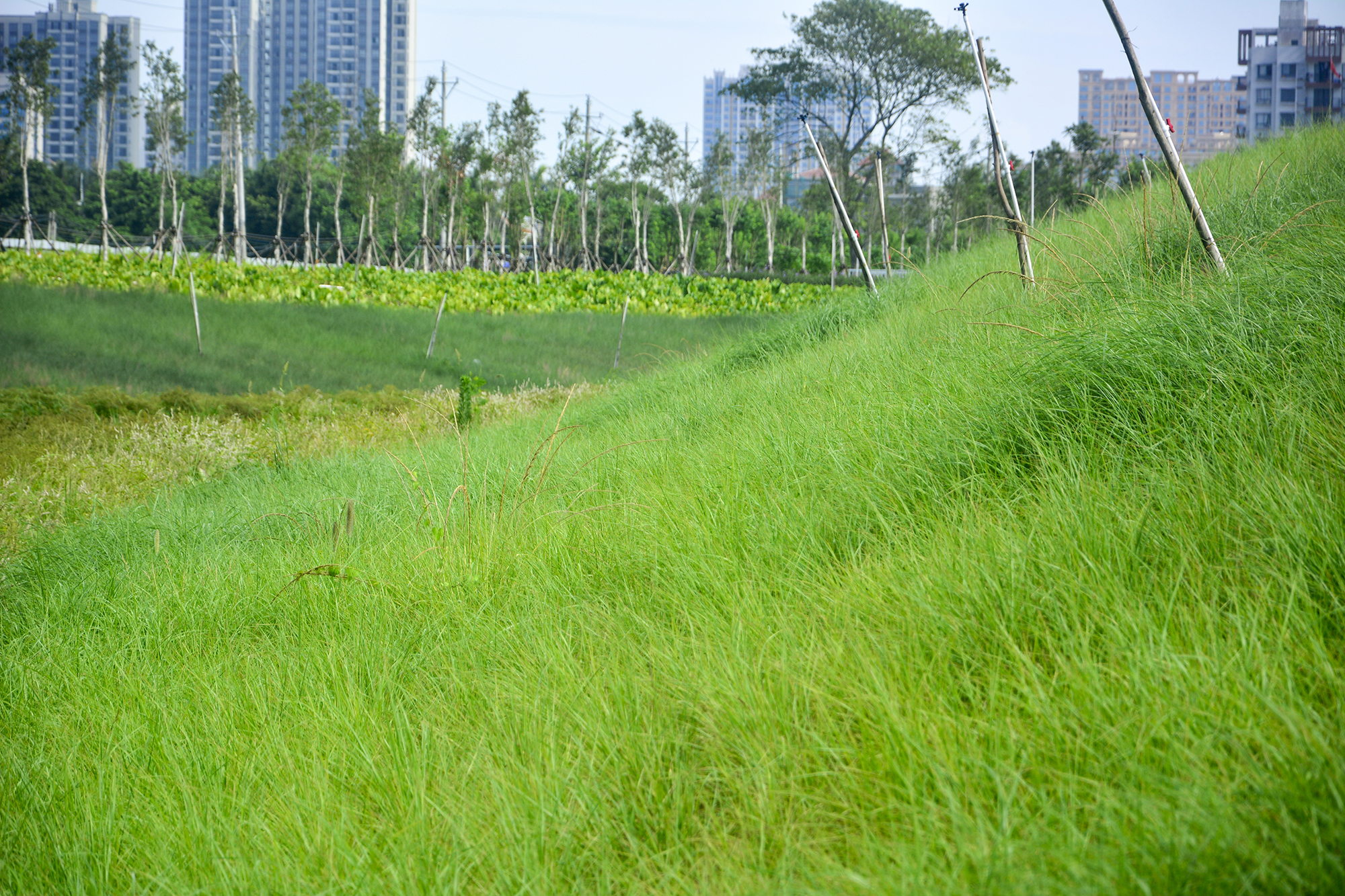 北海新的风景区,北海新建的公园
