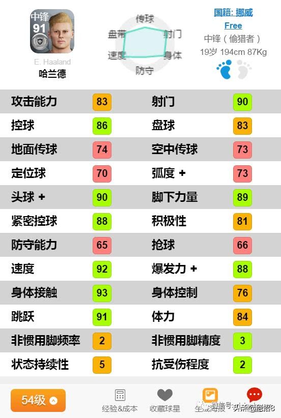 哈兰德身高为什么这么高,哈兰德到底有没有孩子