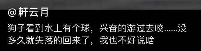 催卖家发货的幽默句子,怎么幽默的催商家发货