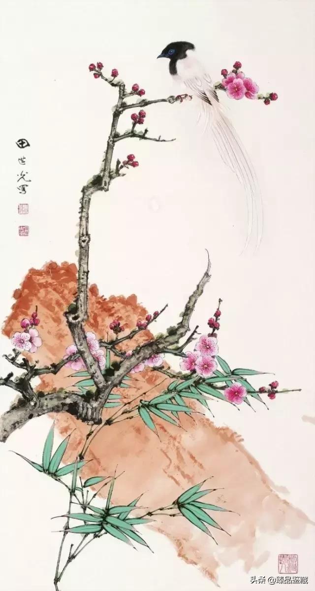 工笔大师田世光,工笔画大师田世光画孔雀好美