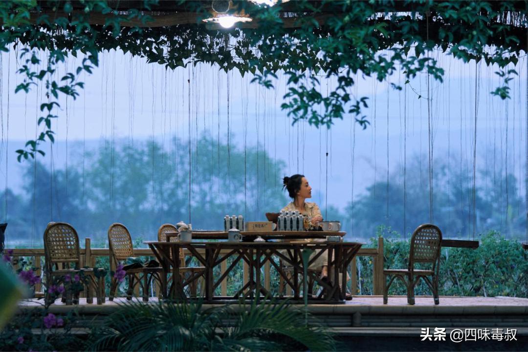 向前看向钱看全文,向前看向钱看完整视频