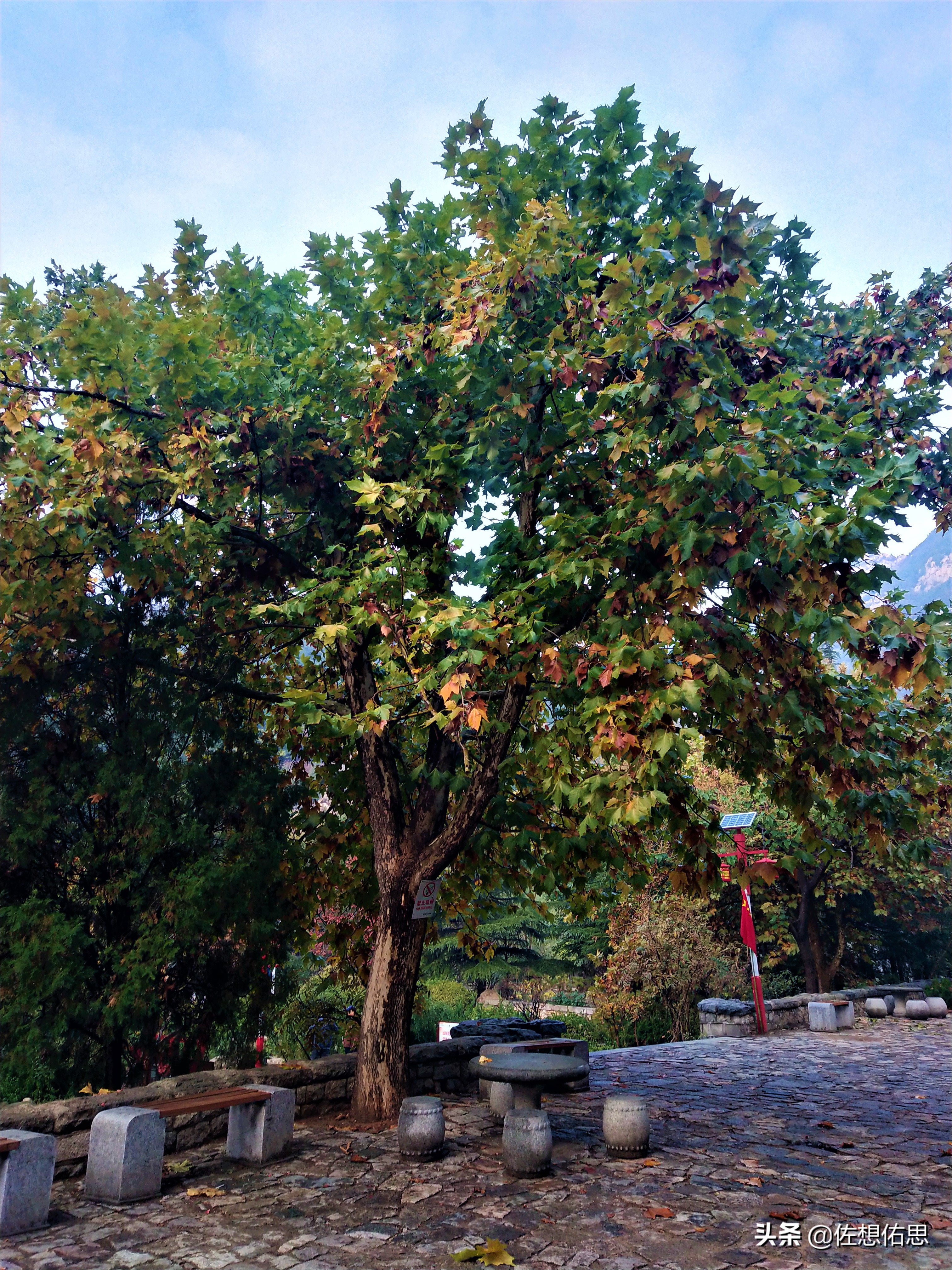 泰安扇子崖免门票吗,扇子崖门票多少钱