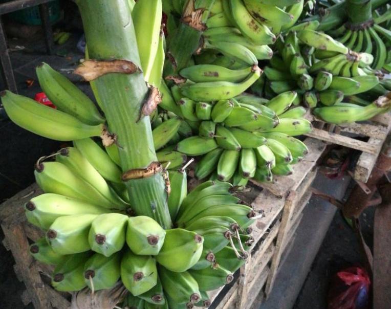 香蕉的储存和催熟流程,香蕉受冻后怎么补救