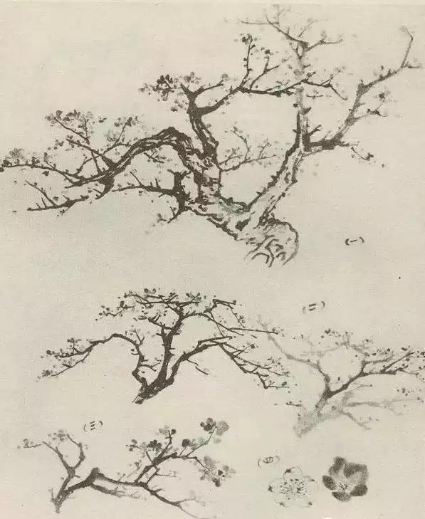 缠枝、挺杆、屈节、钮裂、一棵树如何画？看了这篇你绝对能学会