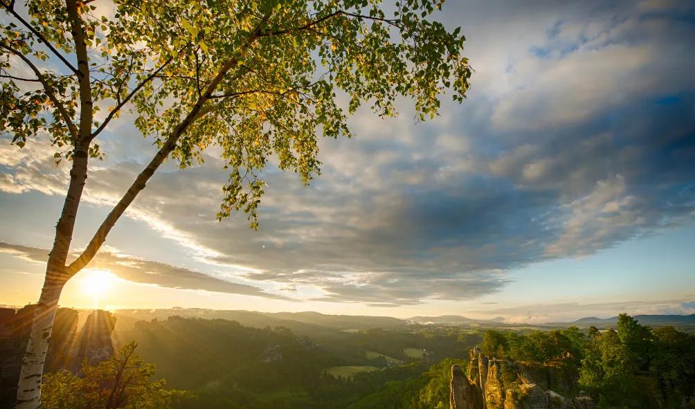 写给自卑的一句话,写给自卑又敏感的你