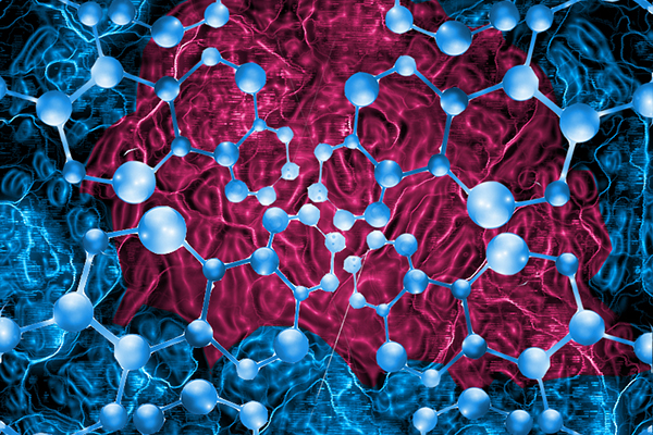 曲美抗衰,自然抗衰老