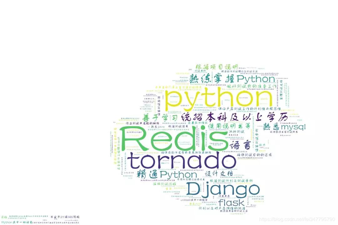 用python进行数据分析,学习python的未来展望