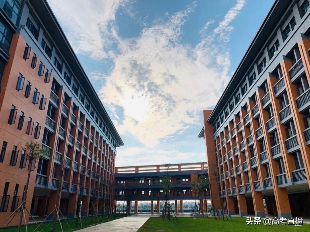 羡慕！广东大学新校区吊炸天！有6所专科公办院校