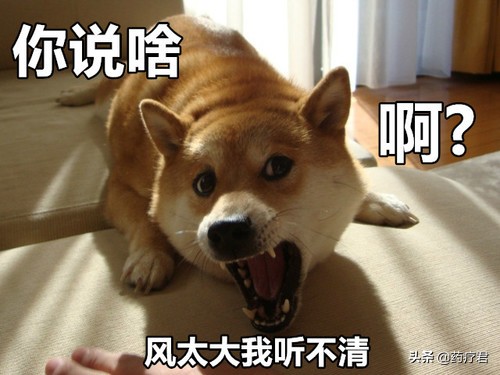 为什么老人常说吃了耳屎会成哑巴,有没有吃了耳屎会变哑巴的说法