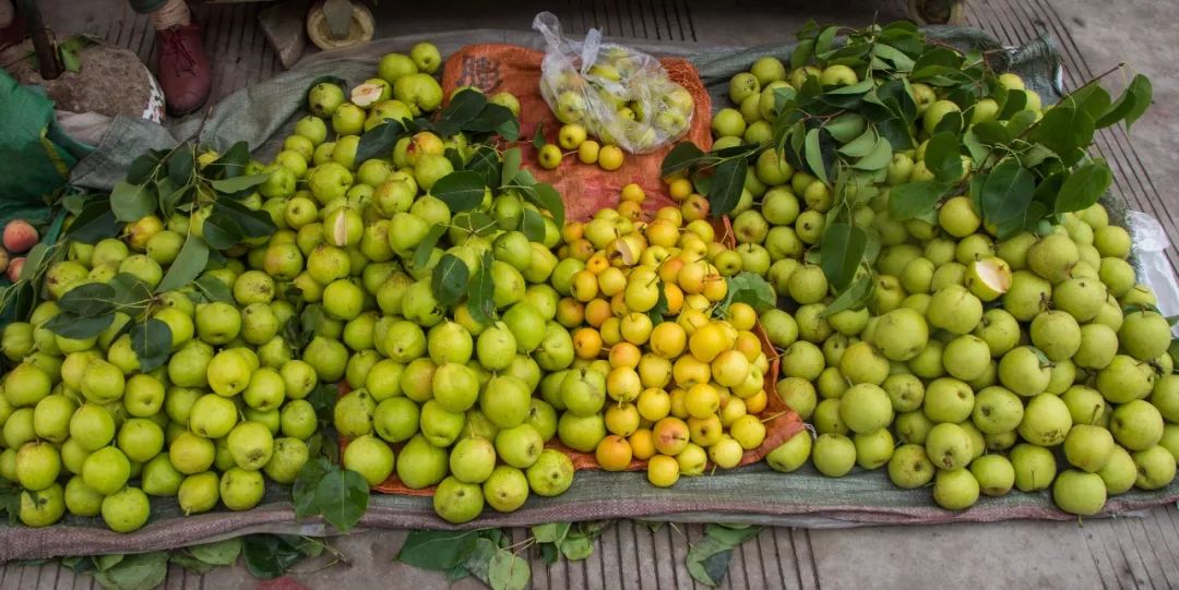 说秋道冬话永胜，气候多样人宜居