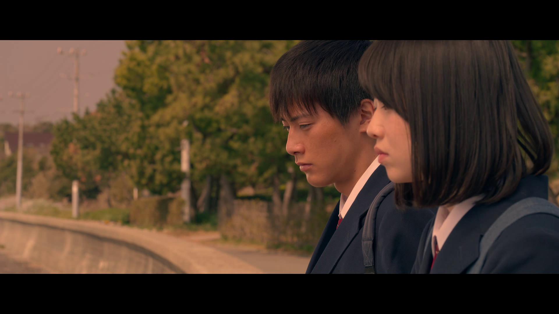 十部顶级治愈系猫片,十部顶级治愈猫的电影