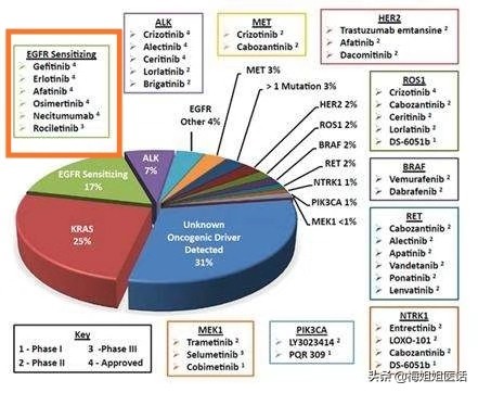 肺癌靶向药耐药后怎么办,肺癌靶向药耐药了怎么办