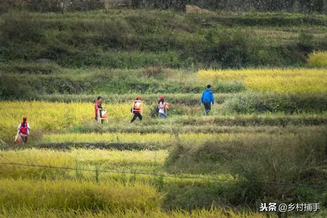 南粤古驿道拍摄后记,2018南粤古驿道展示