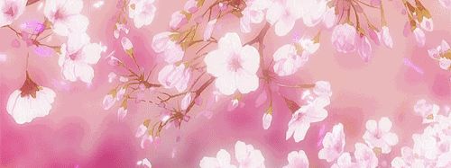 mac新出樱花限定正红色,mac2020樱花限定