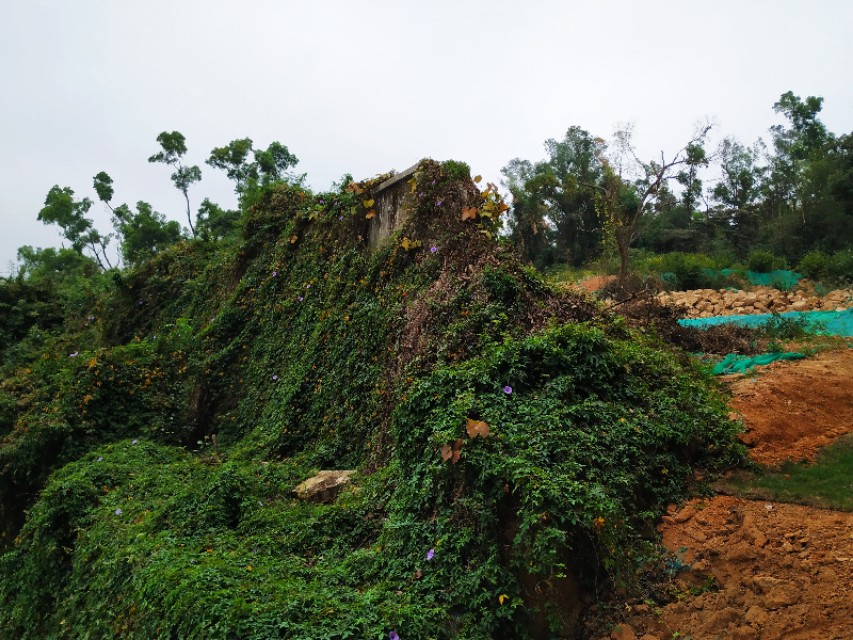 周日跟随珠海户外网板樟山游记