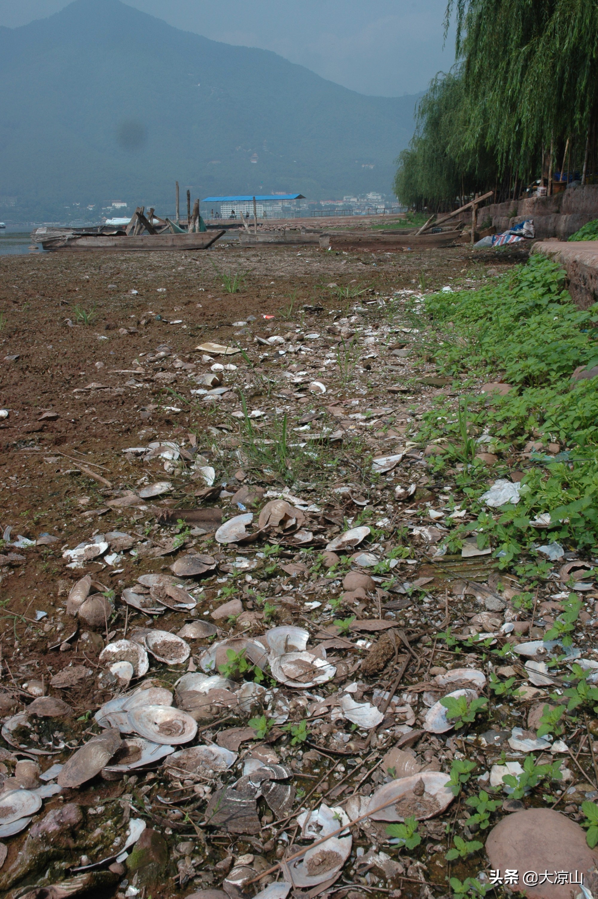 西昌邛海最美风景视频,90年代的西昌邛海小渔村