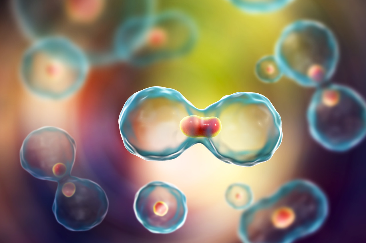 失眠药是失眠才吃还是天天吃,失眠吃药一般吃多久