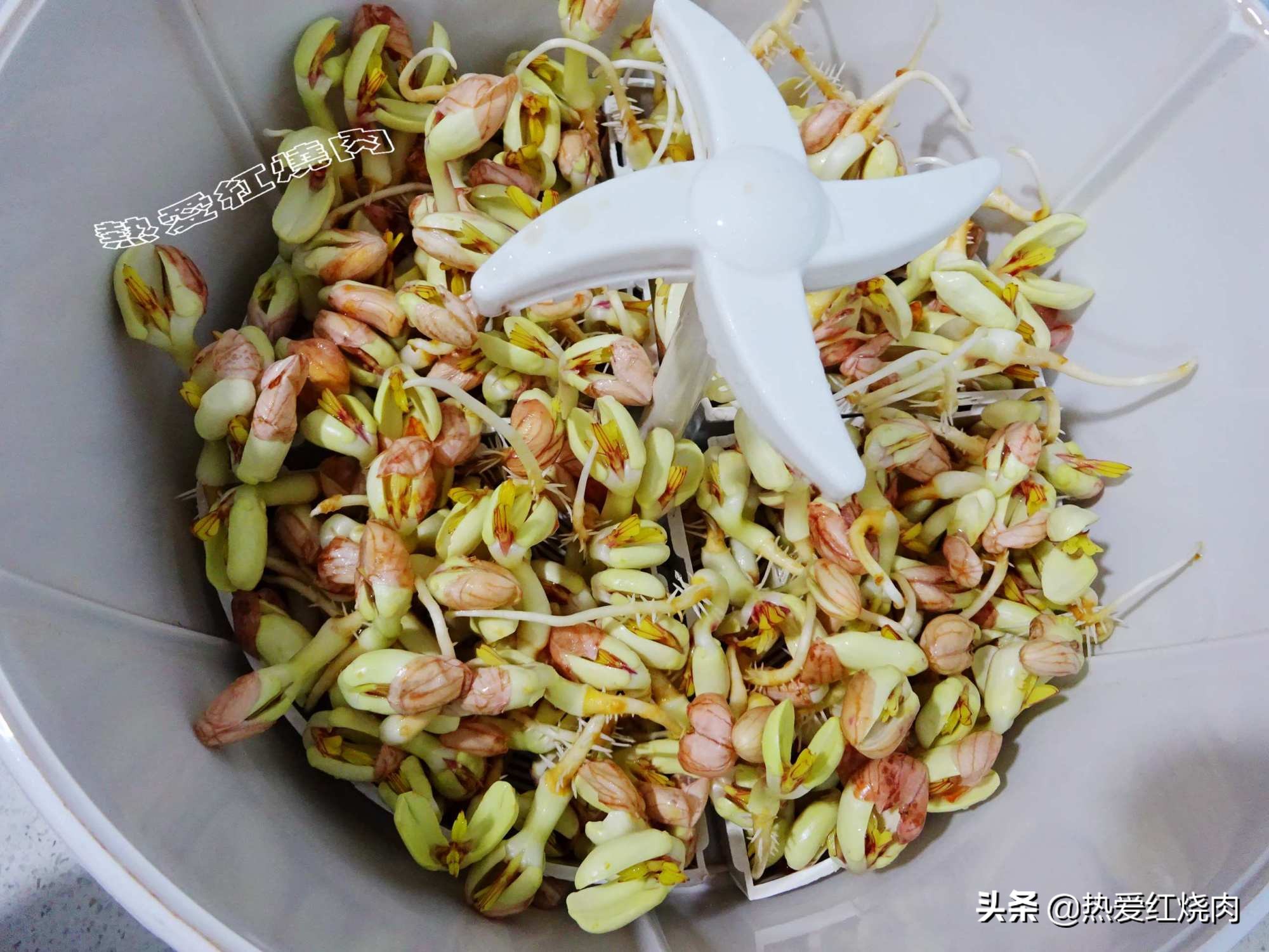 从小就吃花生米好吗,从小就吃的花生