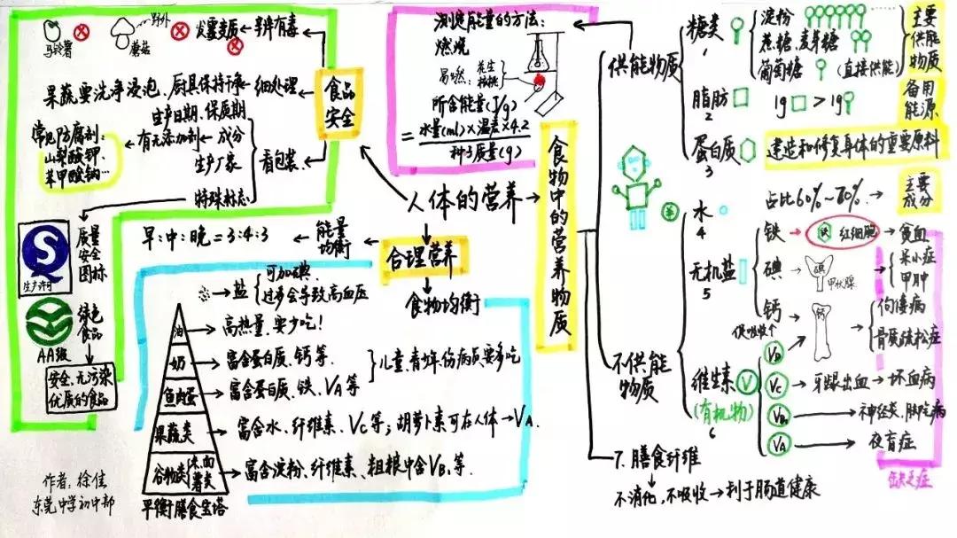 初中生物七年级下册知识点讲解,初一下册生物重点复习初中生学习