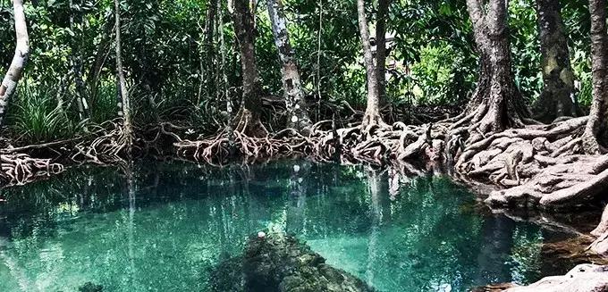 泰国甲米7天自由行攻略,5天4晚玩转泰国