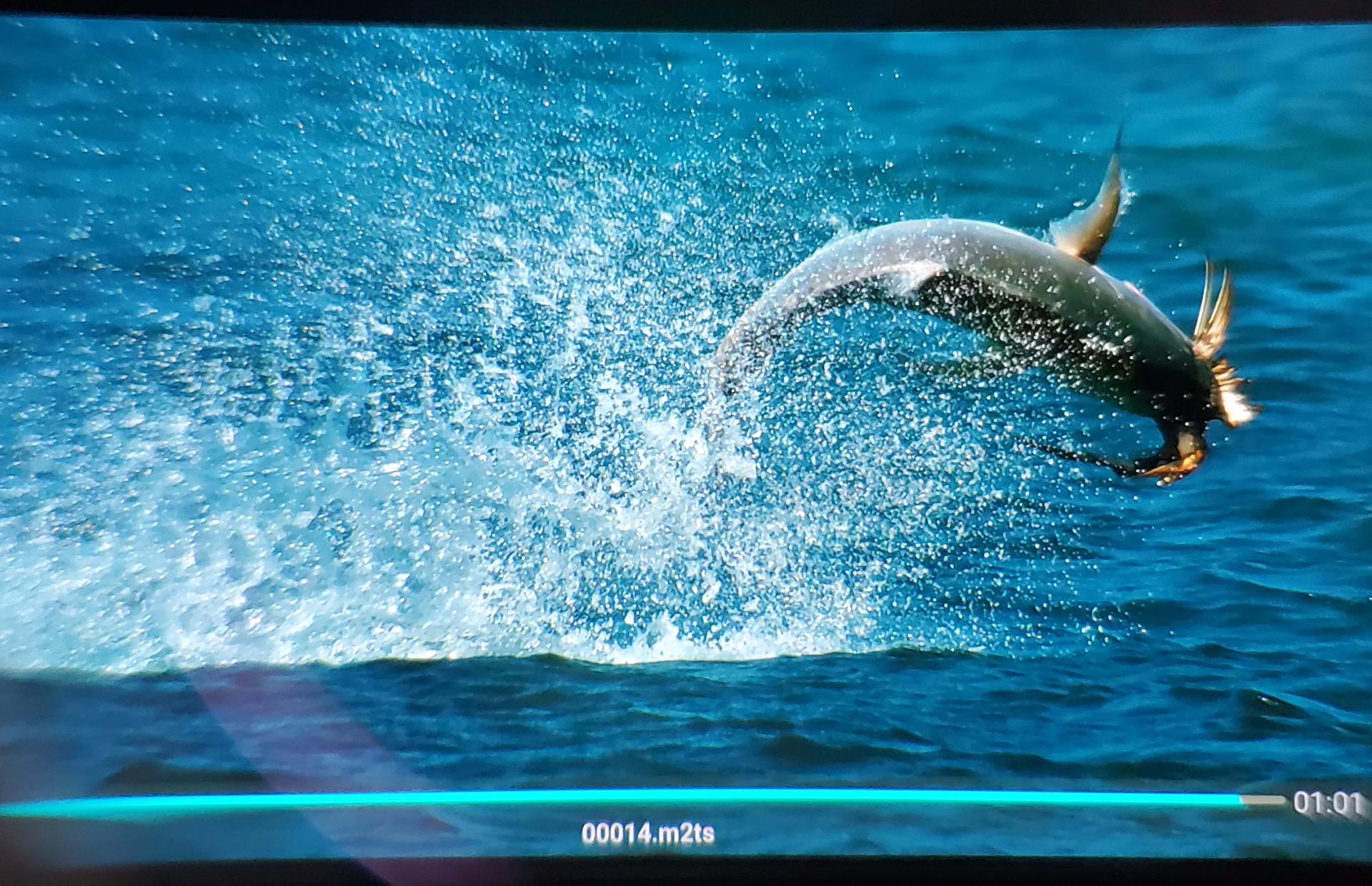 goovispro头戴显示器评测,goovispro2021版评测