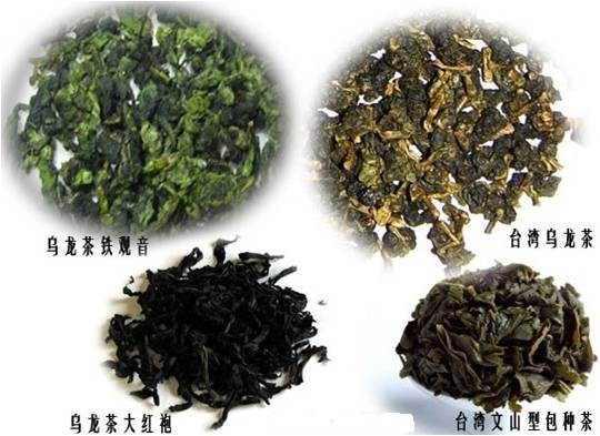 青茶如何进行乌龙茶分类,茶知识的讲解