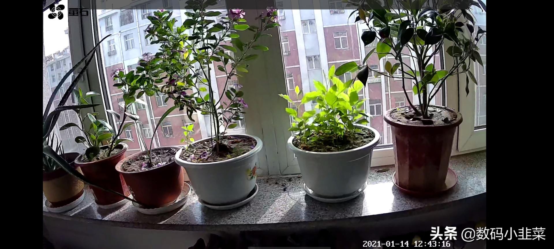 萤石c6c智能摄像头家用,生活好帮手智能家居