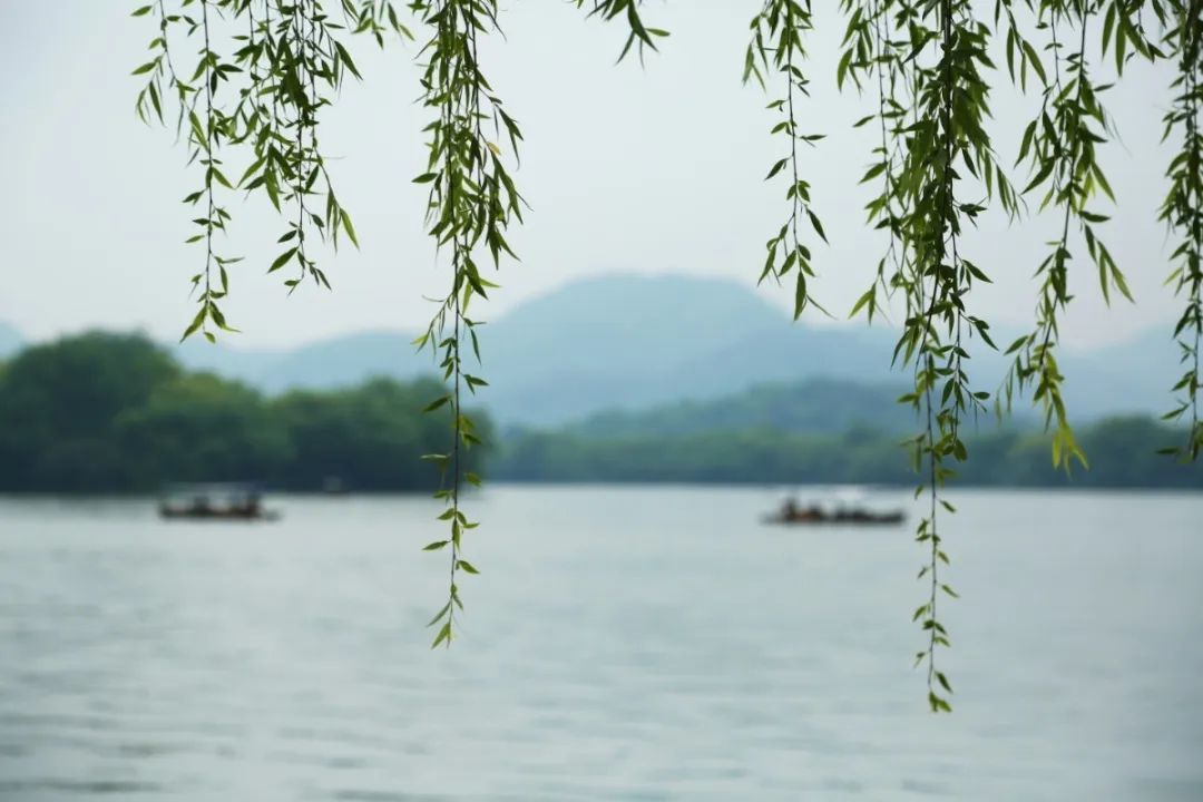 欣赏西湖的全景太美了,西湖美景实在美怎么也看不够