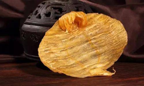 鱼胶知识大全视频,最全常识看完涨知识