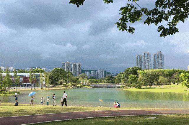 深圳龙岗改名字在哪里,深圳市改名后的新名称